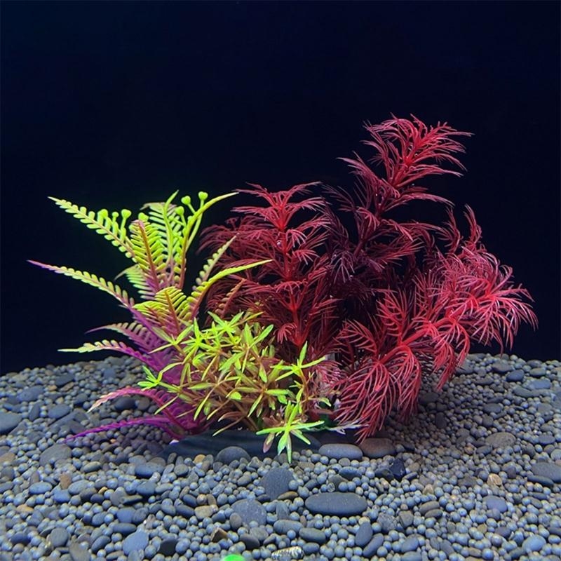 Live Plant Aquarium - ต้นไม้ประดับตู้ปลา ของตกแต่งตู้ปลา จำลองพืชในน้ำ ของประดับตกแต่งตู้ปลา ขายดีที่สุด