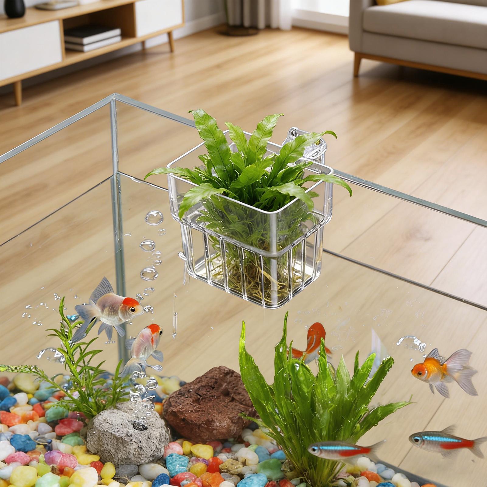 Aquarium Plants Live - ตะกร้าปลูกต้นไม้แบบติดผนังสำหรับตู้ปลา ตะกร้าแขวนสำหรับปลูกพืชน้ำ ที่ใส่ต้นไม้น้ำแบบโปร่งใส มองเห็นได้ชัดเจน ตะกร้าปลูกแบบไฮโดรโปนิกส์