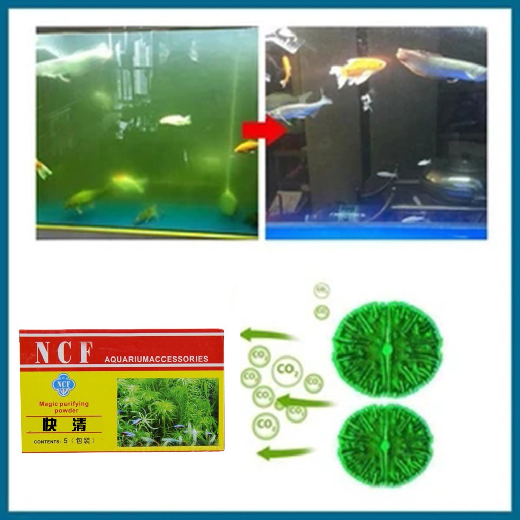 Aquarium Moss - Aquarium Water Purifying Powder ลบกลิ่นสาหร่ายกําจัด MOSS