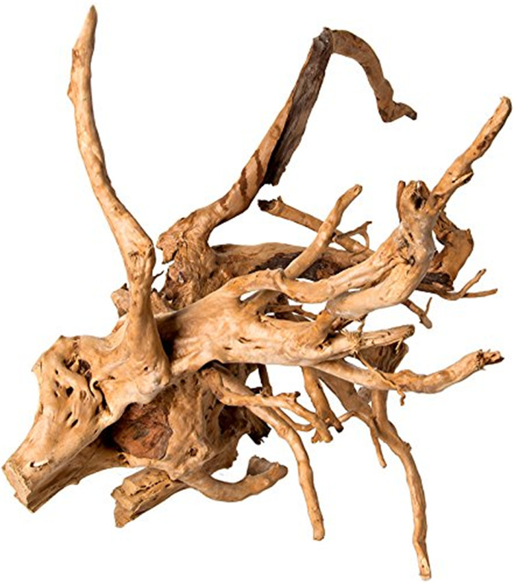 ไม้ลอยน้ำตกแต่งตู้ปลา ไม้ขัดเง - Aquarium Driftwood บทวิจารณ์และราคา