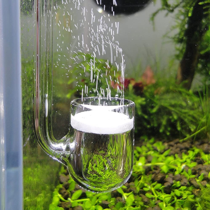 D0AD แก้ว CO2 Diffuser สำหรับพ - Aquarium Liquid Carbon บทวิจารณ์และราคา