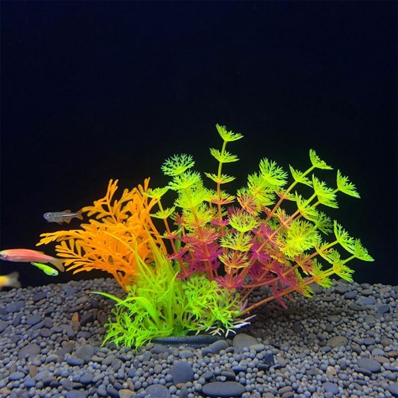 ต้นไม้ประดับตู้ปลา ของตกแต่งตู - Live Plant Aquarium บทวิจารณ์และราคา