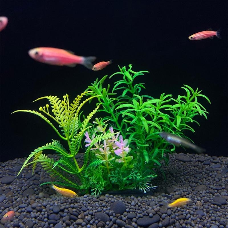 ต้นไม้ประดับตู้ปลา ของตกแต่งตู - Live Plant Aquarium บทวิจารณ์และราคา