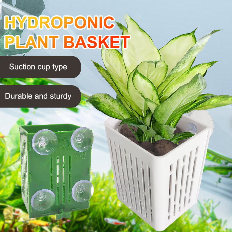 แขวนถ้วยดูด Hook Aquarium Hold - Plant Aquarium Pot บทวิจารณ์และราคา