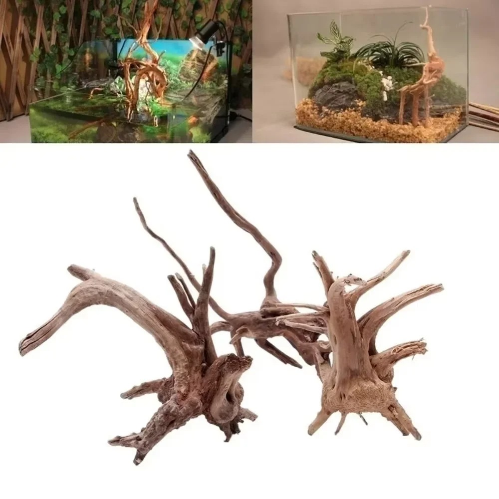 ไม้ลอยน้ำธรรมชาติขนาด 15-20 ซม - Aquarium Driftwood บทวิจารณ์และราคา