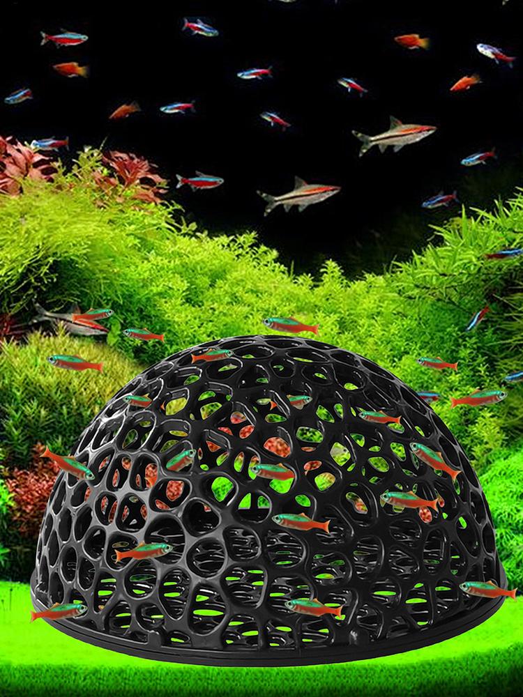 ที่ซ่อนตัวในตู้ปลาสำหรับปลาขนา - Aquarium Plants Live บทวิจารณ์และราคา