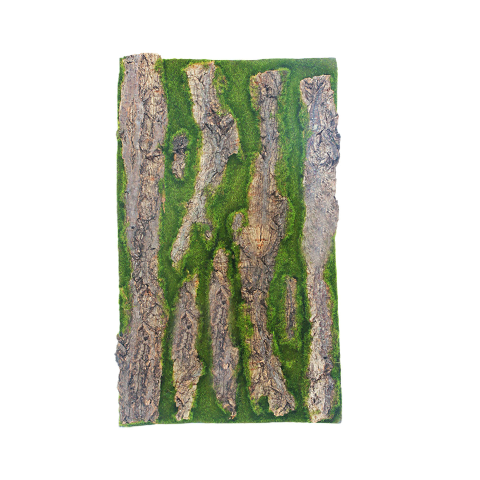 แผ่นฉากหลังตู้ปลา 3 มิติ ลายเป - Aquarium Moss บทวิจารณ์และราคา