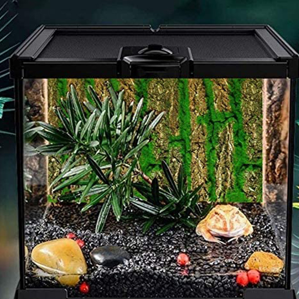 แผ่นฉากหลังตู้ปลา 3 มิติ ลายเป - Aquarium Moss บทวิจารณ์และราคา