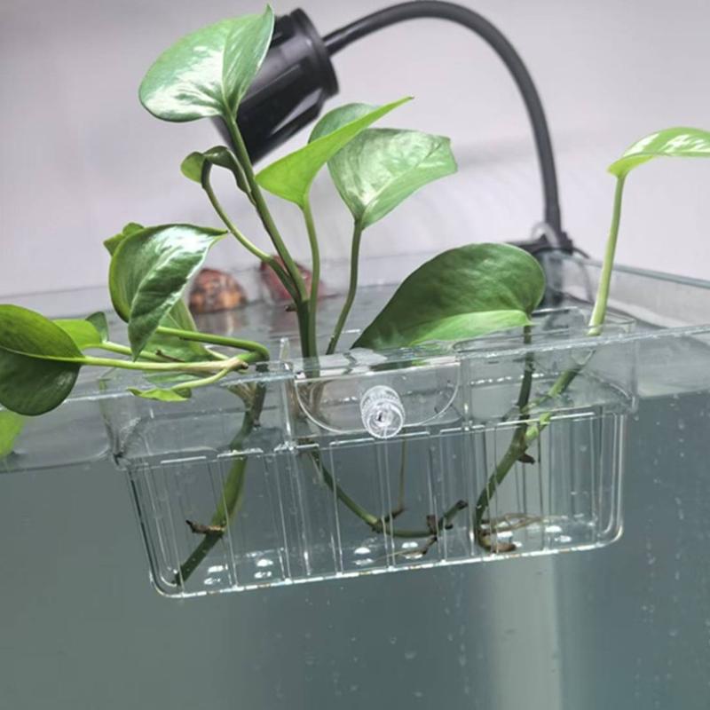 ตะกร้าปลูกพืชไฮโดรโพนิก เกรดอา - Planted Tank บทวิจารณ์และราคา