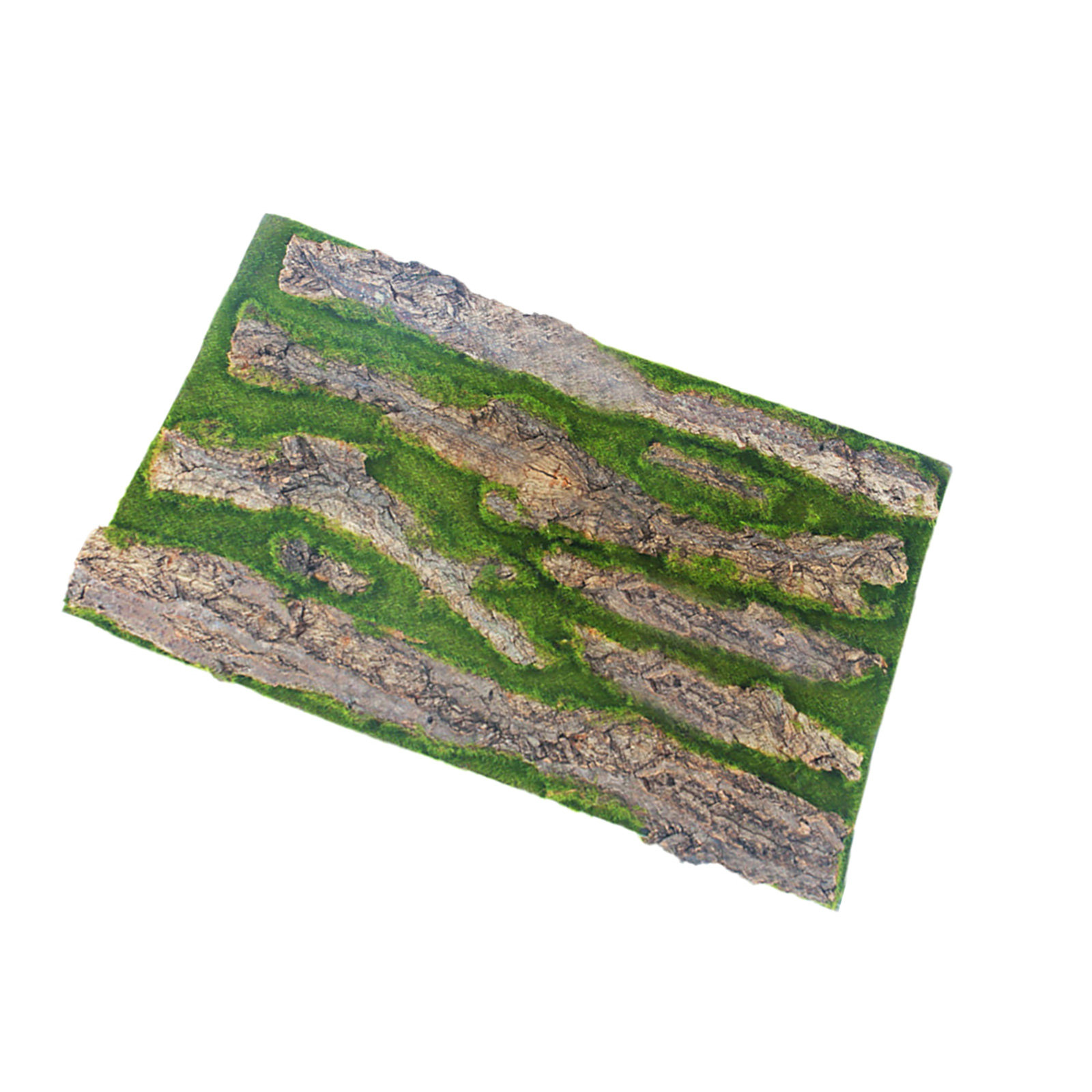 แผ่นพื้นหลังตู้ปลา 3 มิติ ลายเ - Aquarium Moss บทวิจารณ์และราคา