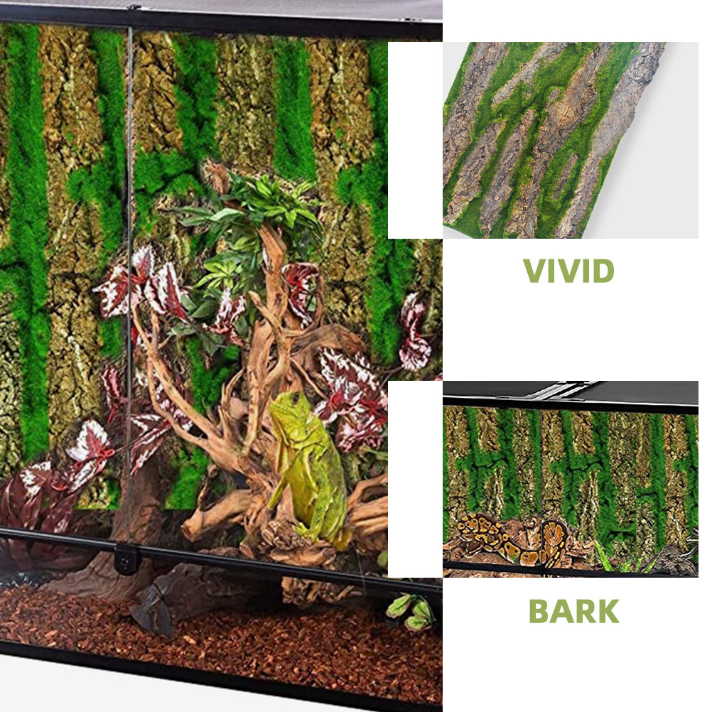 แผ่นพื้นหลังตู้ปลา 3 มิติ ลายเ - Aquarium Moss บทวิจารณ์และราคา