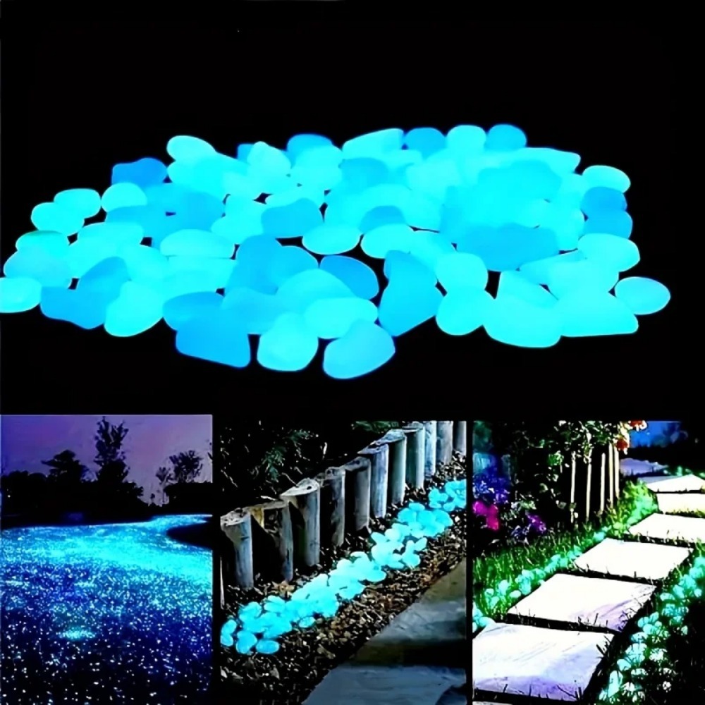 หินเรืองแสงในที่มืด 100 ชิ้น,  - Plant Aquarium Pot บทวิจารณ์และราคา