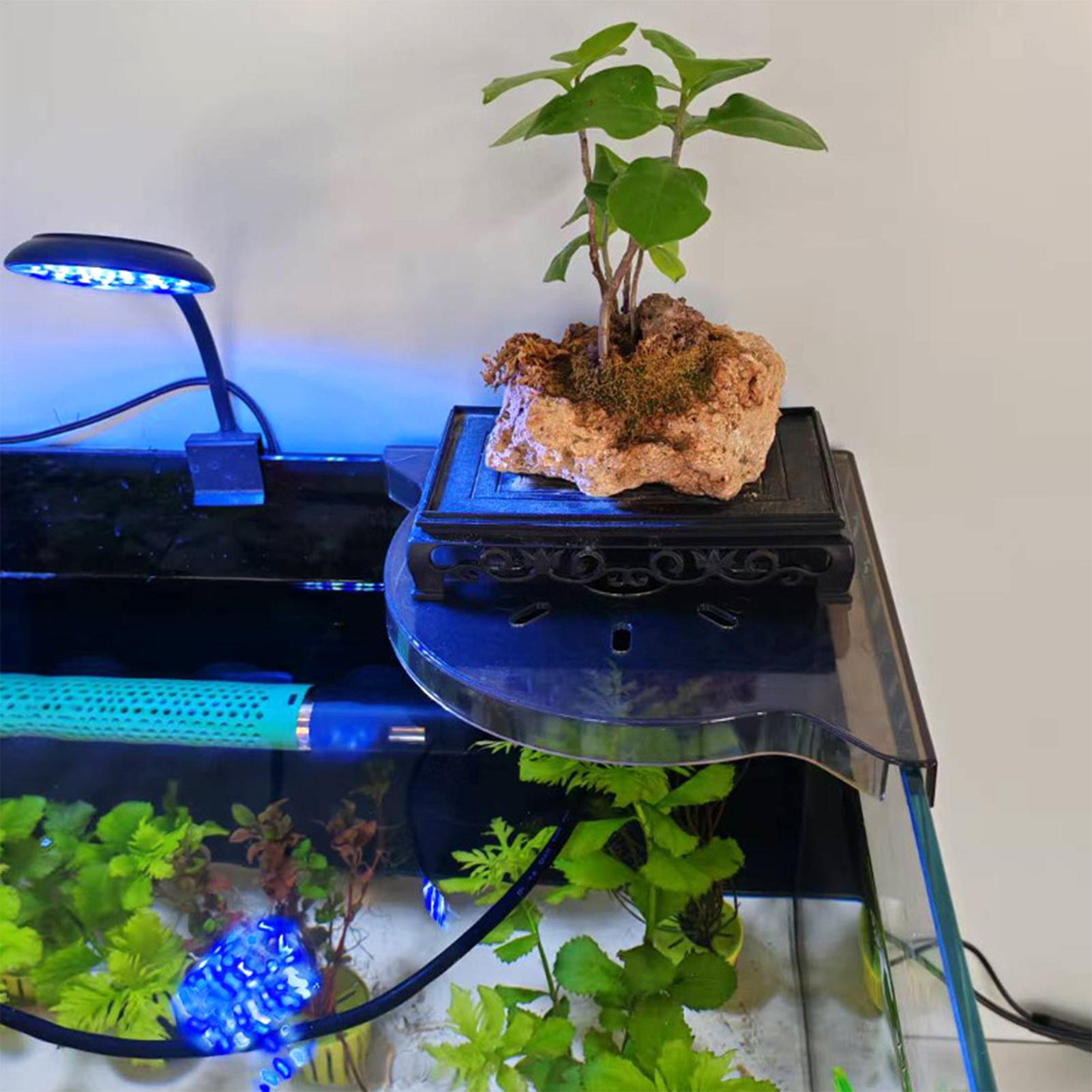 ชั้นวางของมุมตู้ปลาแบบสามเหลี่ - Aquarium Plants Live บทวิจารณ์และราคา