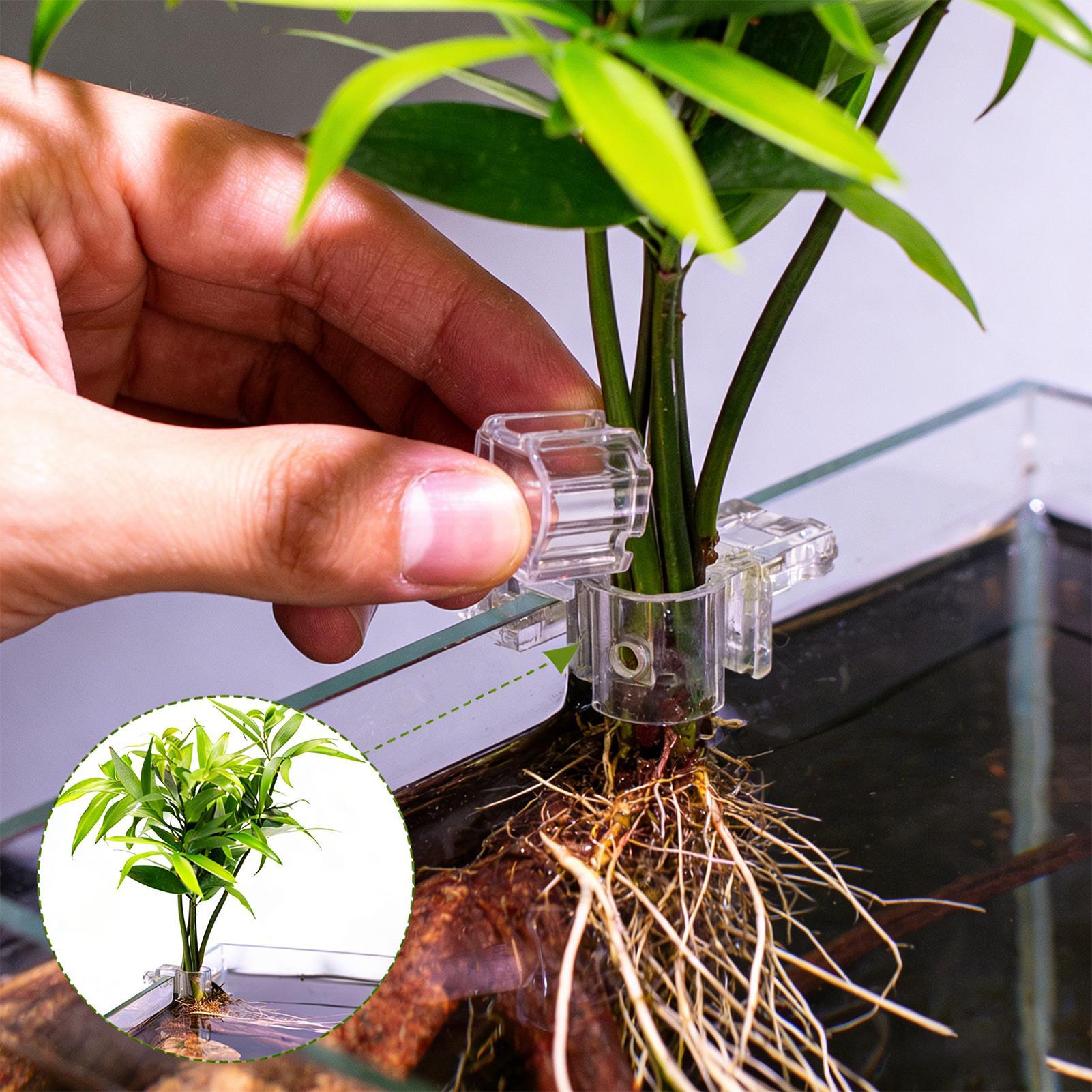 ที่แขวนต้นไม้ในตู้ปลาแบบใส 6 ช - Aquarium Plant Holder บทวิจารณ์และราคา