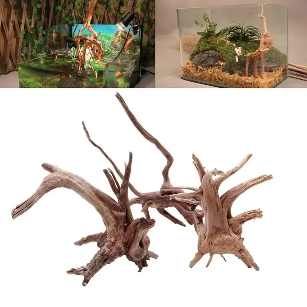 ไม้ลอยธรรมชาติสำหรับตกแต่งตู้ป - Aquarium Plant Substrate บทวิจารณ์และราคา