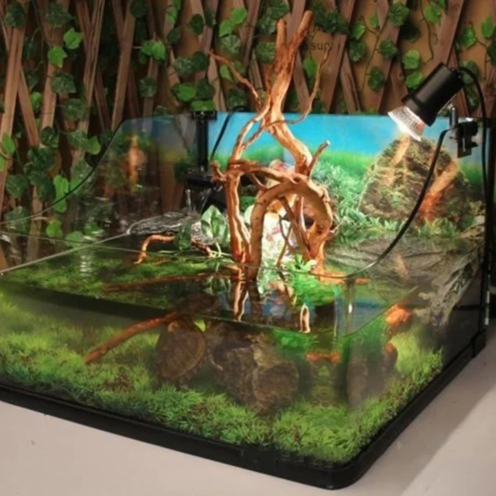 ไม้ลอยธรรมชาติสำหรับตกแต่งตู้ป - Aquarium Plant Substrate บทวิจารณ์และราคา
