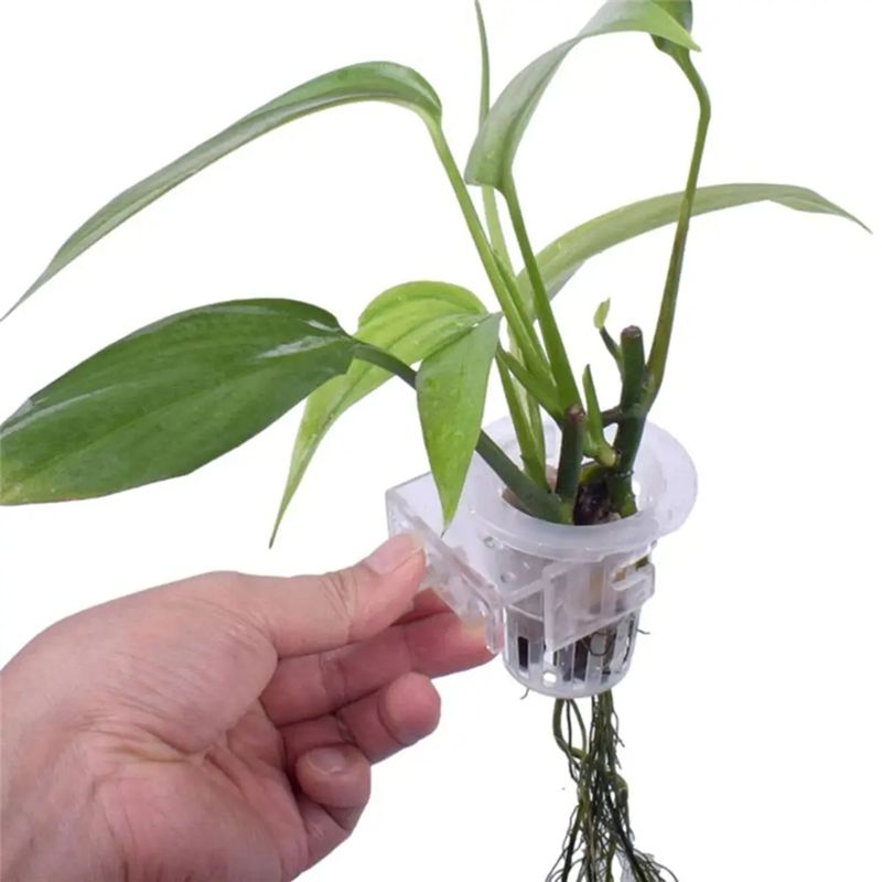 A7THK-2 ชิ้น ที่วางต้นไม้ในตู้ - Aquarium Plant Holder บทวิจารณ์และราคา