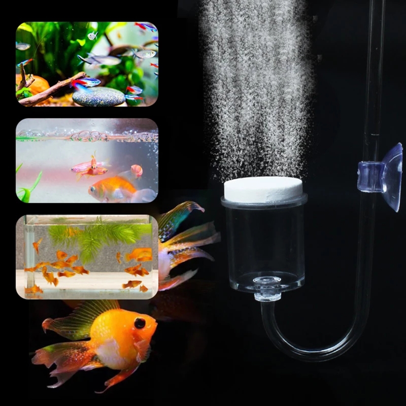 DIY ชุดกระจาย CO2 4ชิ้นสำหรับต - Live Plant Aquarium บทวิจารณ์และราคา