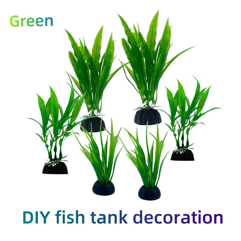 6 ชิ้นแพ็คพืชพิพิธภัณฑ์สัตว์น้ - Live Plant Aquarium บทวิจารณ์และราคา