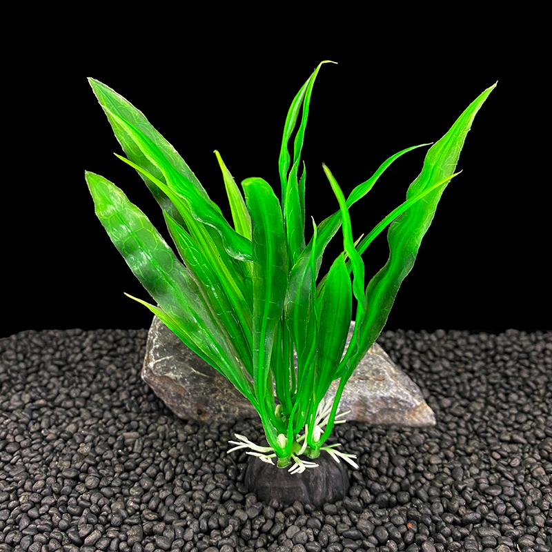 6 ชิ้นแพ็คพืชพิพิธภัณฑ์สัตว์น้ - Live Plant Aquarium บทวิจารณ์และราคา