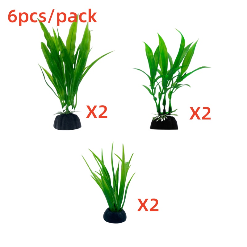 6 ชิ้นแพ็คพืชพิพิธภัณฑ์สัตว์น้ - Live Plant Aquarium บทวิจารณ์และราคา